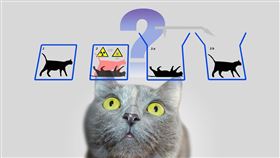 
▲鴻海研究院量子密碼學研究成果獲Crypto 2025接收，震撼國際學界，研究團隊提出Meta-Complexity理論應用，面對量子電腦威脅，鴻海率先布局未來資訊安全防線。（示意圖／PIXABAY）