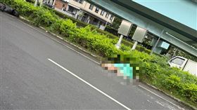 土城騎士遭撞飛後，當場爆頭慘死。（圖／翻攝畫面）