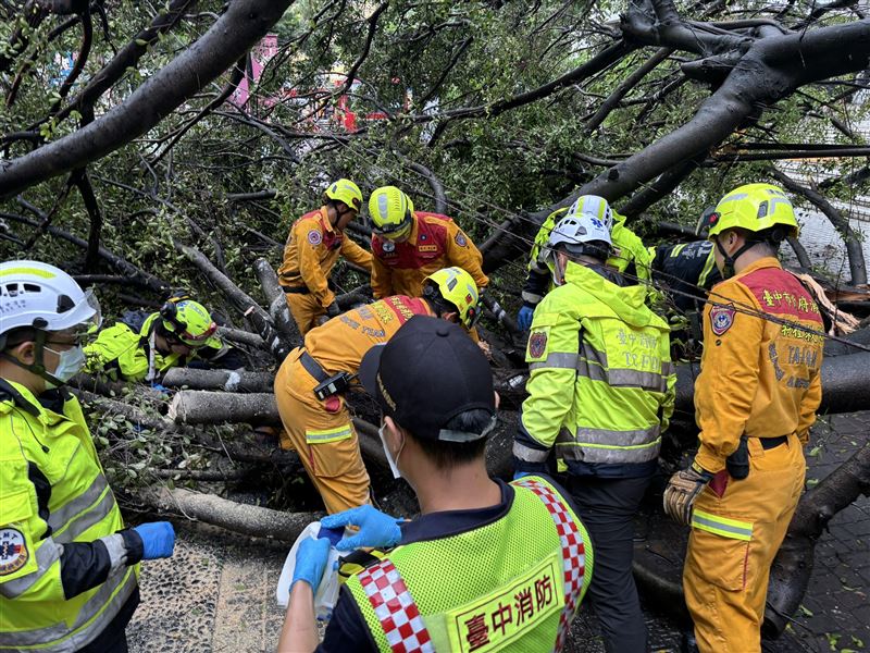 警消人員鋸樹搶救。（圖／翻攝畫面）