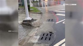 雨彈炸高雄淹水災情多　驚見「土虱」現蹤