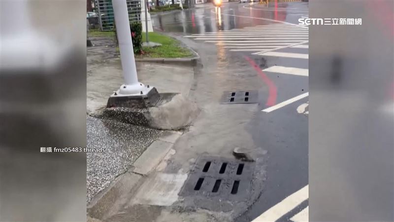 雨彈炸高雄淹水災情多 驚見「土虱」現蹤