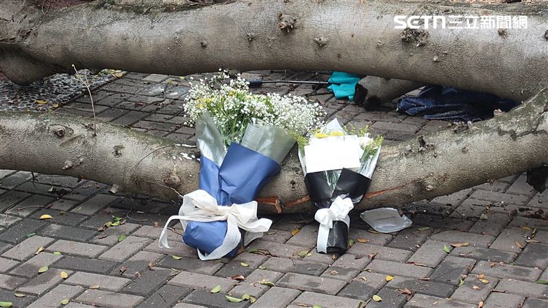 逢甲大學榕樹傾倒壓死23歲碩一生,師生擺放花束、卡片悼念。(圖/三立新聞台)