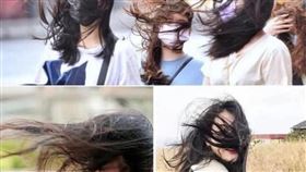 ▲風很大 強風。（圖／翻攝自翻攝自新竹大小事） 