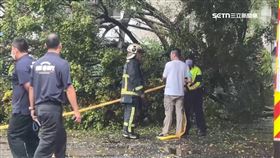 逢甲碩一生成績優異　鄰居：都會來幫家裡顧店