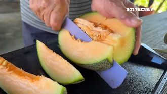 哈密瓜界愛馬仕！新品哈密瓜「曜王」登場