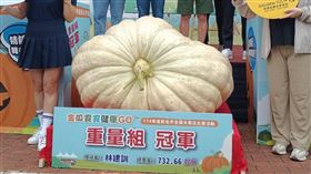 全台「大南瓜」比賽！百顆南瓜齊聚淡水　巨無霸732斤奪冠／新北市政府提供