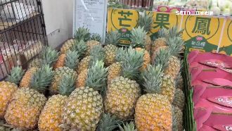 台灣水果再傳捷報！芒果、番石榴進軍歐盟