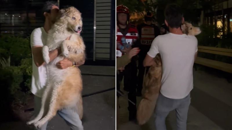 房子毀了！伊朗飛彈襲…以色列男也要護狗