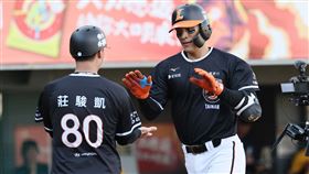 ▲統一獅林岱安。（圖／統一獅提供） 