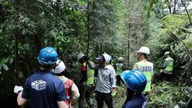 台北市推動碳匯法制化　五大增匯策略邁向淨零目標