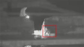 李康生跟友人涉嫌偷撈海膽。（圖／翻攝畫面）