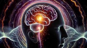 大腦。（示意圖／PIXABAY）