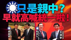 民主進步黨今（16）天批評，國民黨只是親中？早就高喊統一啦！（圖／翻攝自民進黨臉書）