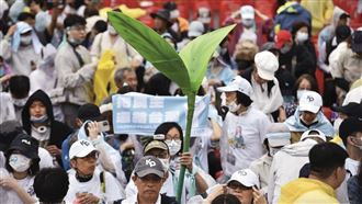動員小草反罷兩面刃 藍白聯手尷尬處境曝