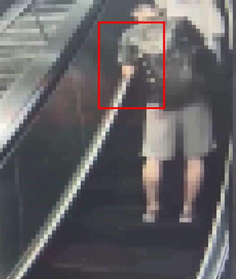 佐佐木法貴拿GoPro偷拍辣妹裙底被逮遭羈押。(圖/翻攝畫面)