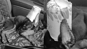 （圖／翻攝自裕美IG）