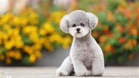 ▲（圖／翻攝自百度百科）