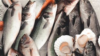 海鮮 魚 漁獲 示意圖／unsplash