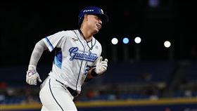 ▲富邦悍將申皓瑋。（圖／富邦悍將提供） 