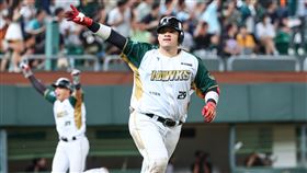 ▲台鋼雄鷹張肇元。（圖／台鋼雄鷹提供）