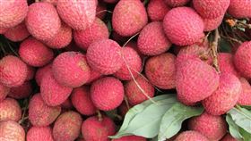 荔枝　（示意圖／PIXABAY）