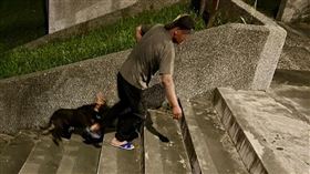 花蓮一名林姓男子昨晚牽著比特犬至尚志橋下的堤外公園散步，比特犬突然發狂撕咬一隻貴賓犬，林男奮力拉開制止，但貴賓犬被咬到肚破腸流，經送往動物醫院急救仍不治，現場民眾目擊整起過程，上網發文揭發此事。