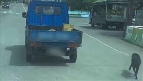 貨車，大熱天拖行黑狗，挨轟虐待，警開罰，飼主(圖／翻攝自臉書爆料公社)