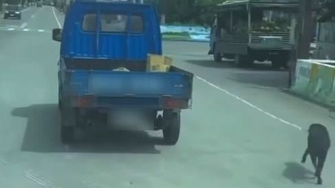 黑狗被綁貨車「拖著跑」　飼主涉虐狗挨轟