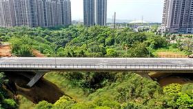 A7牛角坡橋通車　逾12億元聯外工程打造龜山新地標