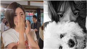 賈靜雯。（圖／翻攝自IG）