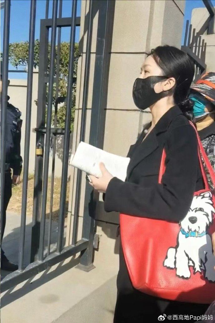 女飼主辭掉工作,自學法律幫愛犬討公道,至今仍沒有結果。(圖/翻攝自微博)