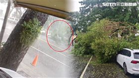 中油,豐田,福斯,高雄,車主,監視器,雷雨,大樹