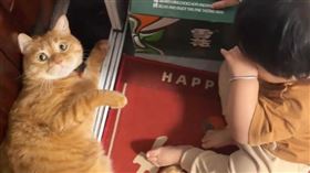 ▲（圖／翻攝自微博）