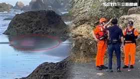 高雄,大體,五官,海灘,礁石,屍體,溺水,西子灣,中山大學