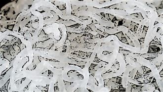 牆壁發電還能防火？海藻泡棉做到了！