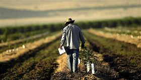 ▲ 氣候變遷正加劇員工健康風險，企業亟需從健保支出轉向預防性保護。（圖／永續新聞網官網）