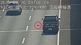 ▲國道1號北上32公里處驚見1隻烏龜橫越3線車道。（圖／翻攝自1968）