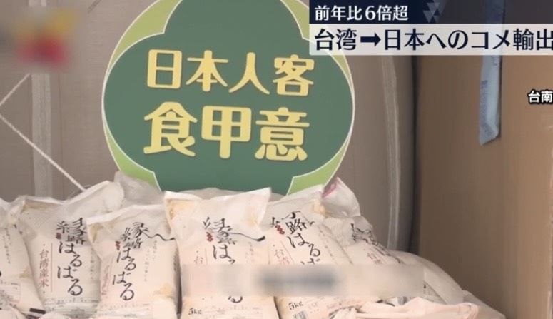 台南米搶進日本市場!日媒盛讚Q彈有嚼勁
