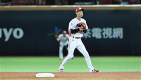 ▲味全龍主力游擊手張政禹，本季首次守二壘。（圖／味全龍提供）