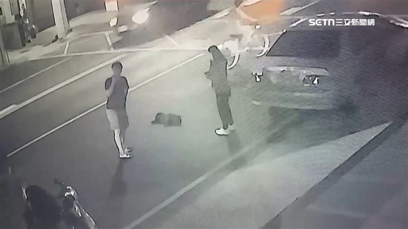 飼主沒繫繩 犬馬路亂晃害騎士摔、狗死亡