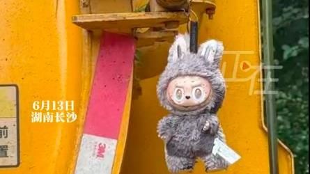 Labubu掛水肥車後！她一查竟是「隱藏款」