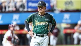 ▲台鋼雄鷹總教練洪一中。（圖／台鋼雄鷹提供） 