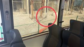 公車行經工地前方時，不幸被吊車給撞上，幸無人員傷亡。（圖／翻攝畫面）