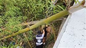 車禍,單車,田寮區