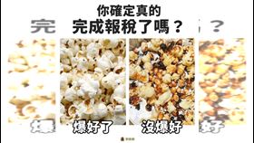 ▲2025報稅必知／報稅倒數8天　你真的報完了嗎？「這一步」沒做＝白報！（圖／翻攝自財政部網站） 