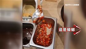 噁！客赴連鎖火鍋用餐　醬料驚見「半截蟑螂」
