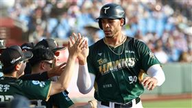 ▲台鋼雄鷹洋砲魔鷹。（圖／台鋼雄鷹提供） 