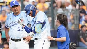 ▲富邦悍將王念好遭觸身球擊中。（圖／富邦悍將提供） 