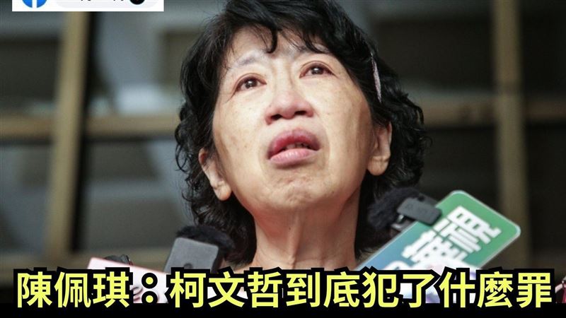 陳佩琪問柯文哲犯什麼罪？粉專列至少7條