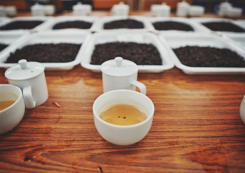 透過春季優良鐵觀音茶比賽,茶農不僅能檢視自家茶在市場的競爭力,也能在品評中學習其它參賽者的優點。(圖/木柵區農會提供)